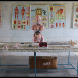 gallery5
