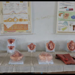 gallery6
